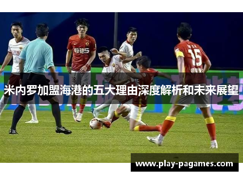 米内罗加盟海港的五大理由深度解析和未来展望