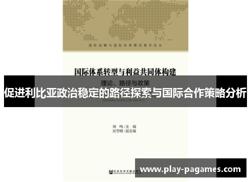 促进利比亚政治稳定的路径探索与国际合作策略分析