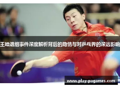 王皓退组事件深度解析背后的隐情与对乒乓界的深远影响